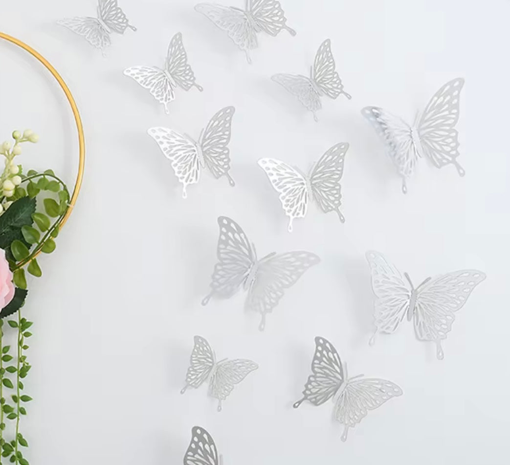 Butterflies 🦋