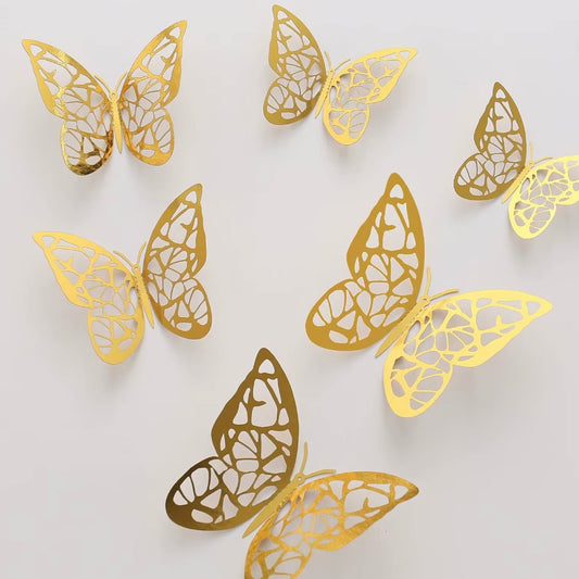 Butterflies 🦋